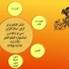رأی گیری جشنواره فجر