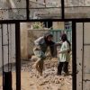 فیلم-بندر-بند