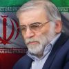 محسن+فخری+زاده