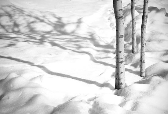 عکسی از مجموعه سفید برفی کیارستمی
