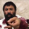 شنای+پروانه