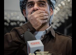 درخت گردو