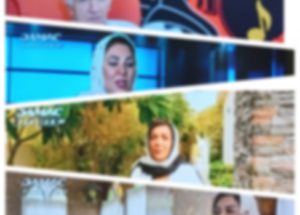 شبکه داماک