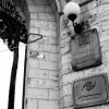 بنیاد سینمایی فارابی