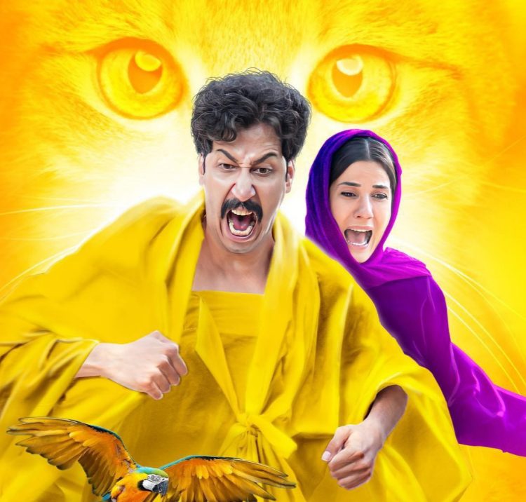 بهرام افشاری و پیمودن راه دوم در فیلم "سال گربه" 