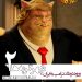 رونمایی از گریمهای رنگارنگ "شهر گربهها۲"+فیلم