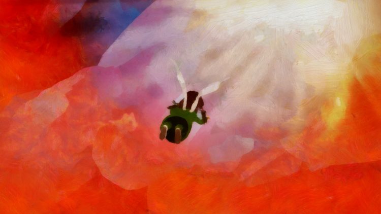 راهیابی «آوای ابرها» به جشنواره حقوق بشر اردن