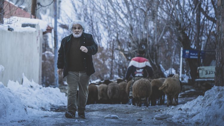 عشق دختر شیرازی و خواننده کره‌ای/فیلم سینمایی "چشم بادومی" با بازی ساره بیات و مهدی هاشمی در جشنواره فیلم فجر۴۳