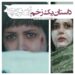 داستان یک زخم⇑رونمایی از تیزر رسمی فیلم «زن و بچه» با بازی پریناز ایزدیار، پیمان معادی و...+فیلم 
