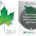 آثار بخش غیررقابتی «استعداد نو» جشنواره فیلمکوتاه تهران معرفی شد