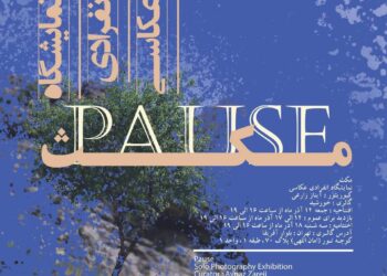 روی طبیعت «مکث» کنید/ دعوتی برای توقفی کوتاه و تأمل در زیبایی‌های نهان طبیعت