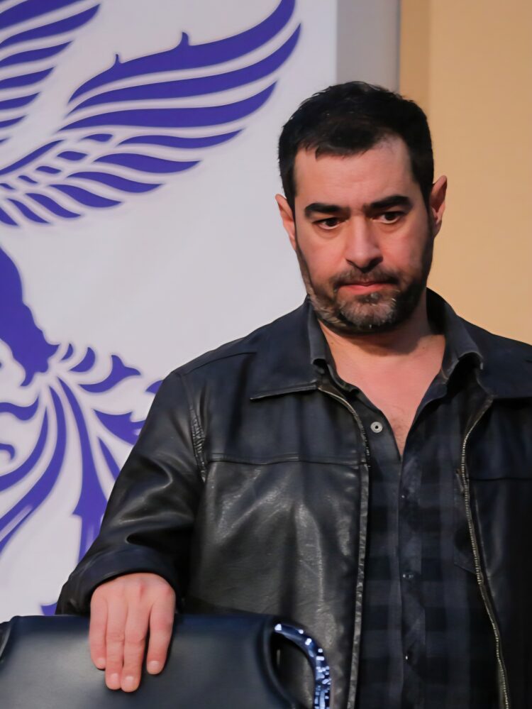 شهاب حسینی