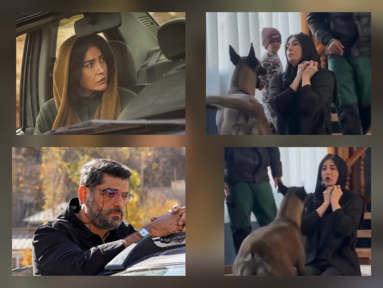 فیلم سقف