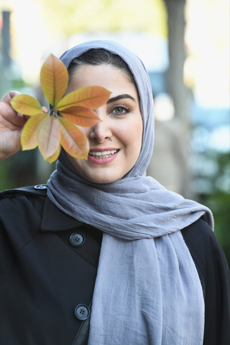 سریال اهل ایران