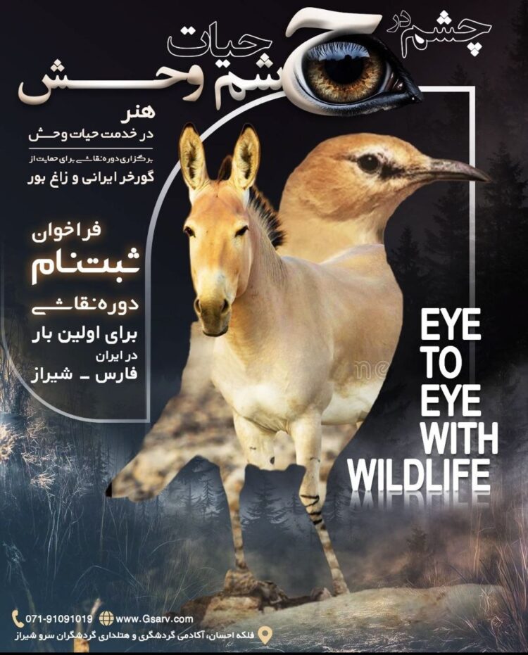 رویداد «چشم در چشم حیاتوحش» برگزار میشود/ خلق آثار با الهام از مشاهدات میدانی در قلب زیستگاهها
