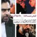 اظهارات غیرمنتظره امیرحسین ثابتی درباره سازندگان "قاتل و وحشی"، "پیرپسر" و "غریزه"/مقایسه حمید نعمت‌الله با محمود کریمی!