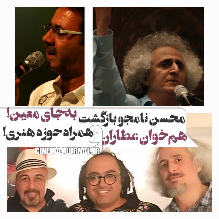 محسن نامجو