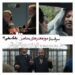 فیلم ناپلئون در باغ زردآلو